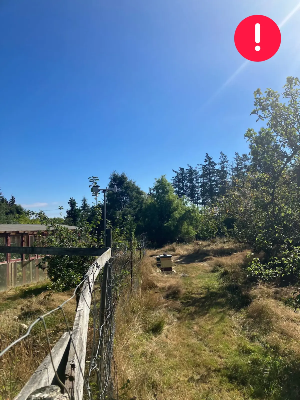 East-facing view from a WeatherXM station surrounded by trees