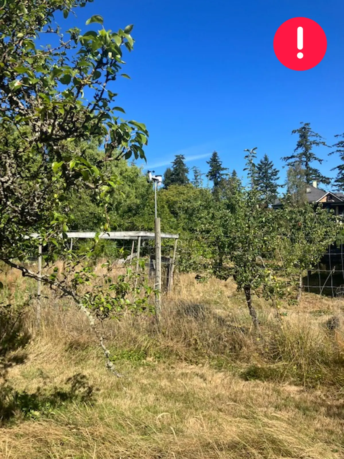 North-facing view from a WeatherXM station surrounded by trees