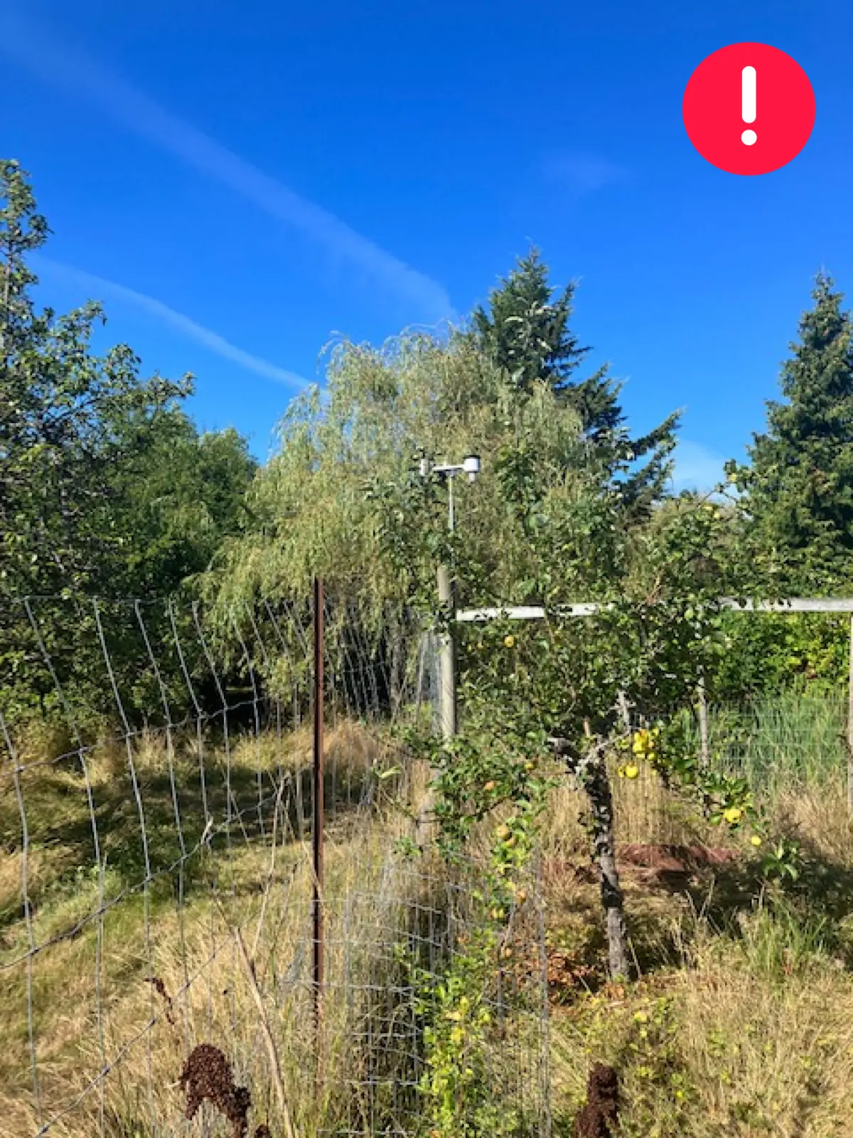 West-facing view and obstacle context for a WeatherXM station deployment